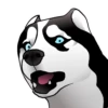 Husky memes 25