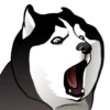 Husky memes 26