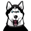 ONKO