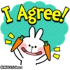 Spoiled Rabbit Useful Talk 30