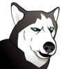 Husky memes 29