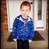 GAVIN 12