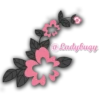 Ladybugy 6