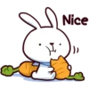 Hyper Bunny 13