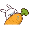 Hyper Bunny 14