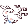 Hyper Bunny 16