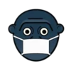 Kingkong Gorilla 17