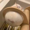 liquid cats 19