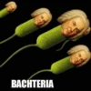 Bach 18