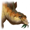 Downer Dinos 15