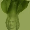 Bach 19