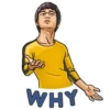 WHY