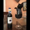 liquid cats 24