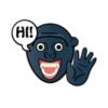 Kingkong Gorilla 29