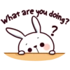 Hyper Bunny 27