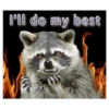 Naughty Raccoon ( 2