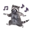Naughty Raccoon ( 4