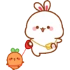 Bunny 5
