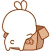 Bunny 6