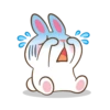Molly The Rabbit 6