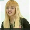 Lisa 8