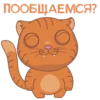 Meow sticker 12