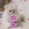 Kawaii_Kawaii 5