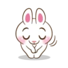 Molly The Rabbit 7