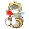 mofu cats 5