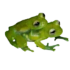 6. Slow: