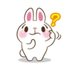 Molly The Rabbit 8