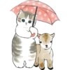 mofu cats 6