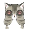 mofu cats 7