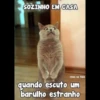 SOZINHO EM CASA
risos no face
quando escuto um
barulho estranho
