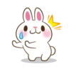 Molly The Rabbit 9