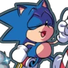 SANIC 5