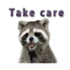 Naughty Raccoon ( 7