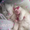 Kawaii_Kawaii 10
