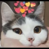"