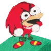 SANIC 8