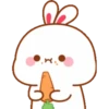 Bunny 15