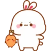 Bunny 16