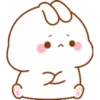 Bunny 17