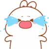 Bunny 18