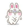 Molly The Rabbit 14