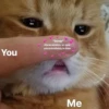 Kawaii_Kawaii 13