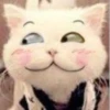 Kitty_cute 9
