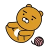 ryankakao 15