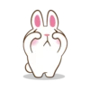 Molly The Rabbit 15