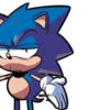 SANIC 10